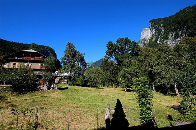 View of the garden View of the garden